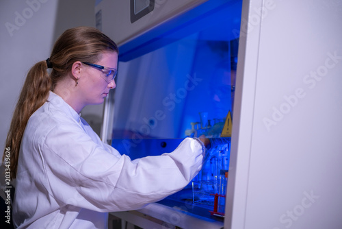 Cuadro en lienzo Female Scientist Conducting Experiment in a Laboratory Fume Hood