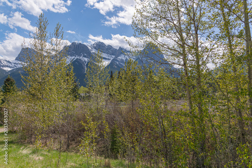 Stunning summer landscape of the Canadian Rocky Mountains and a calm river in Canmore, Alberta. Near Banff National Park with towering mountain peaks, Three Sisters. 