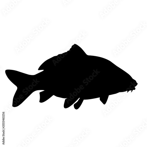 Simple black carp fish silhouette isolated on white background. Suitable for logo, icon, fishing brand, sticker, signage, and minimalist aquatic graphic design