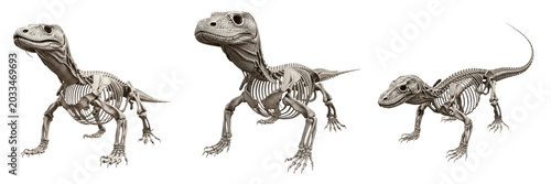 Konstfotografi Komodo dragon skeleton, Varanus komodoensis, giant lizard anatomy, realistic bon