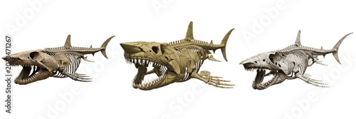 Quadro su tela Megalodon shark skeleton, Otodus megalodon, giant jaw anatomy, prehistoric fish