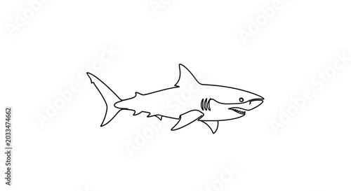 Valokuva Minimalist Line Drawing of a Great White Shark on White Background