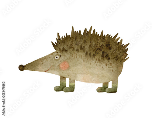 Photos Forest Hedgehog Illustration