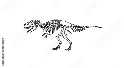 Foto Dinosaur Skeleton Outline