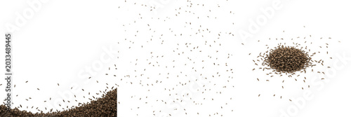 Swarm of insects square framing, Solenopsis invicta, fire ant worker 1x1 aspect ratio crop grid alignment, mesosoma petiole node segmentation layout tracking index card resource file database