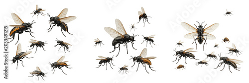 Foto Swarm of insects loose floating cluster, Chironomus riparius, non-biting midge s
