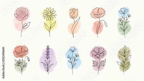 Collection of minimalist oneline flowers with colorful watercolor accents.