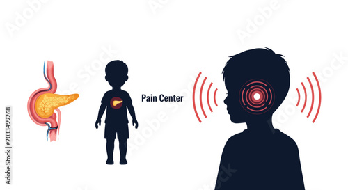 Medical infographic illustrating the connection between pancreatic issues and the pain center in the human brain for medical study.