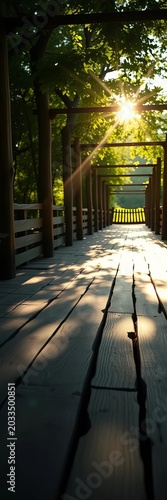 Sunlit wooden planks creak beneath the stroll, tranquil, foot bridge