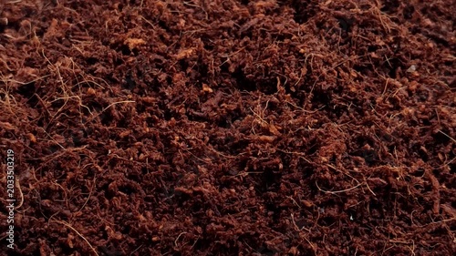 Organic cocopeat for gardening and agriculture. Natural cocopeat for planting media