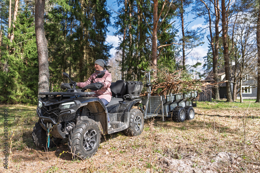 Fototapeta premium A woman rides an ATV quad with a trailer full of firewood along a green forest track in Estonia. She wears a jacket and hat while hauling branches and logs through trees.