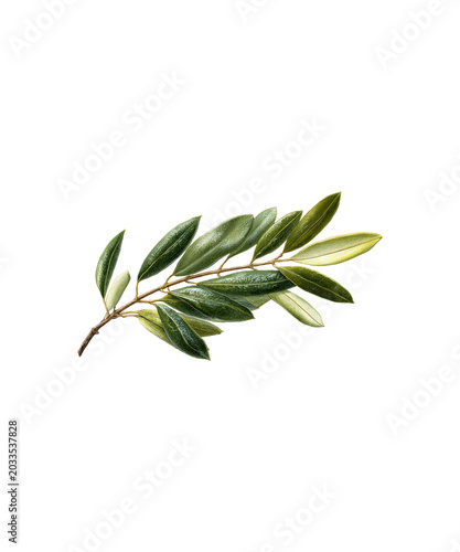twig of rosemary
