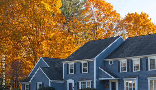 townhouse with autumn yellow trees