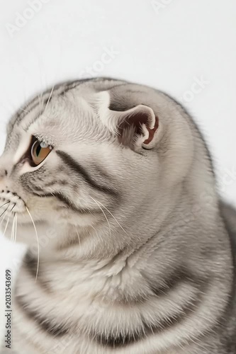 Close-up of a fluffy, light gray British Shorthair cat with striking green eyes, short fur, and a calm expression.