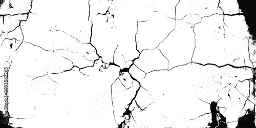 Bild auf Leinwand Old rustic plaster degradation black and white vector.
