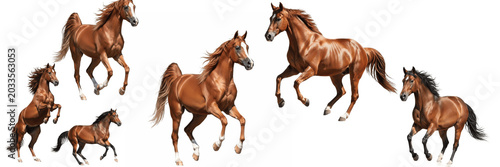 Fotografie A Set of Three Galloping Horses in Different Poses on White Background, Realisti