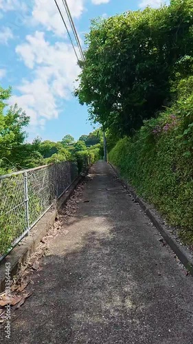 POV shot of moving forward on a narrow paved path covered with ivy and green trees