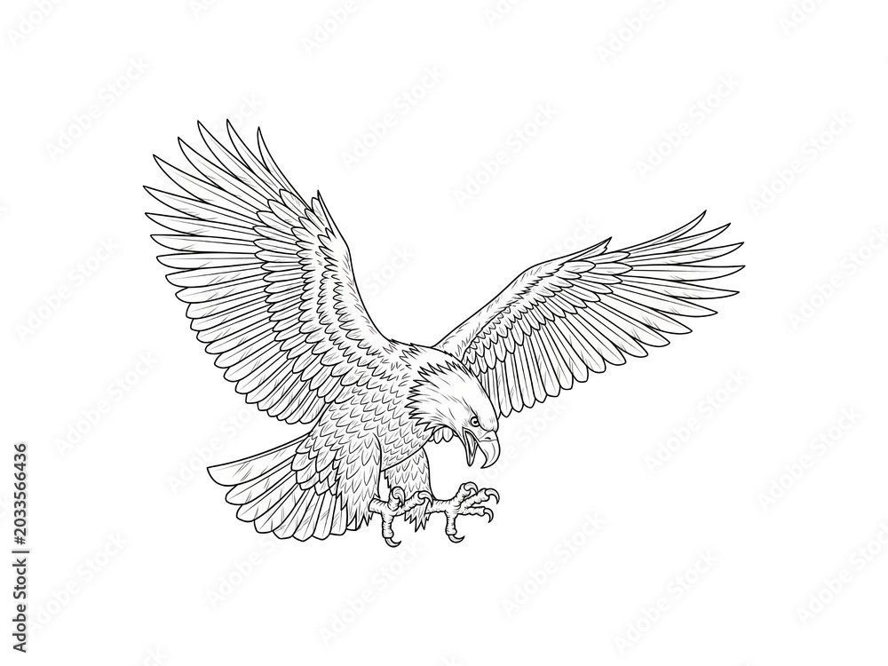 Fototapeta premium Detailed line art rendering of a bald eagle in flight with wings spread
