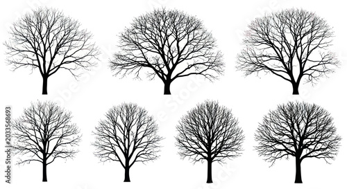 Collection of bare winter tree silhouettes on white background
