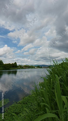 Static shot of a calm and peaceful lake with green bushes in the foreground