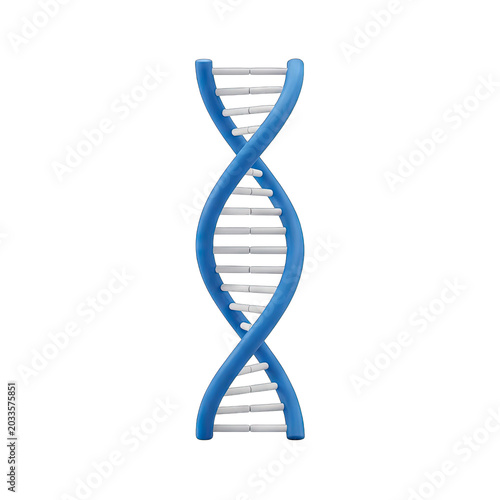 3D DNA Double Helix Model