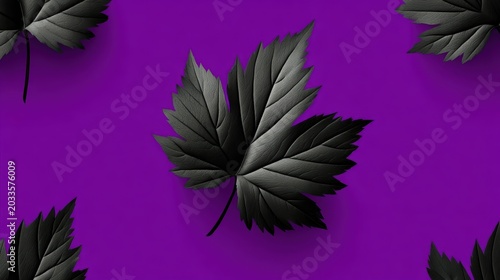 Elegant black maple leaves pattern arranged on vibrant purple background surface texture photography