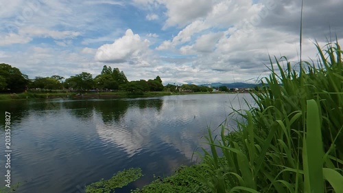 Static shot of a calm and peaceful lake with green bushes in the foreground