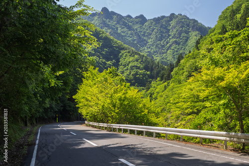 Tapety artystyczne 新緑の中津峡・県道210号・中津川三峰口停車場線・秩父市