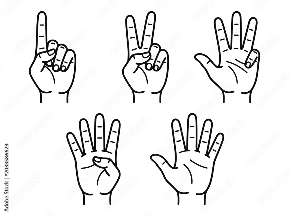 Fototapeta premium Minimalist Line Art Hand Gestures Counting One to Five Fingers Set for Educational Learning and Business Communication Success on White Background