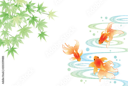 金魚と流水と青紅葉、暑中見舞いはがき、かわいい、イラスト、和風、横