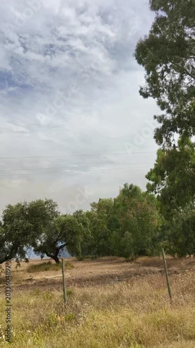  Sonido bocina de emergencia por acercamiento de Helicóptero contraincendios sobrevolando zona ardiendo con sistema Bambi para cargar agua.
