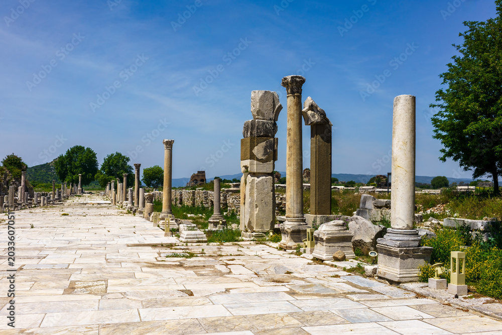 Fototapeta premium Ephesus Ancient Ruins