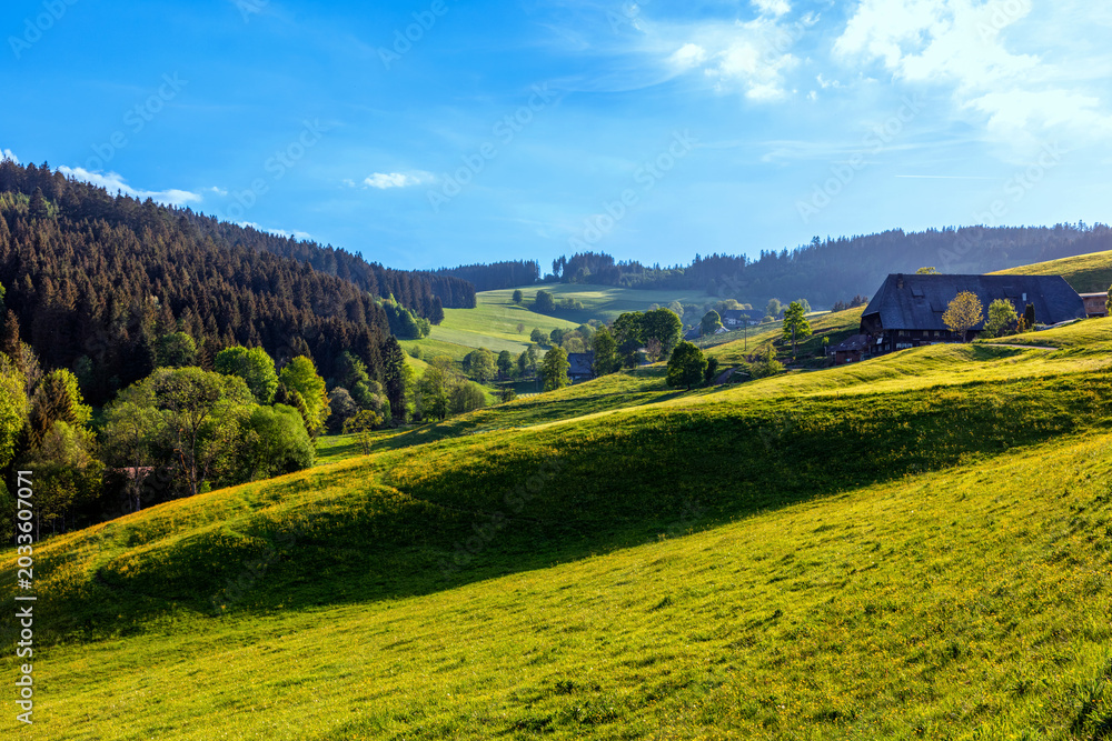 Obraz premium Typical farmhouse near Titisee in the Black Forest