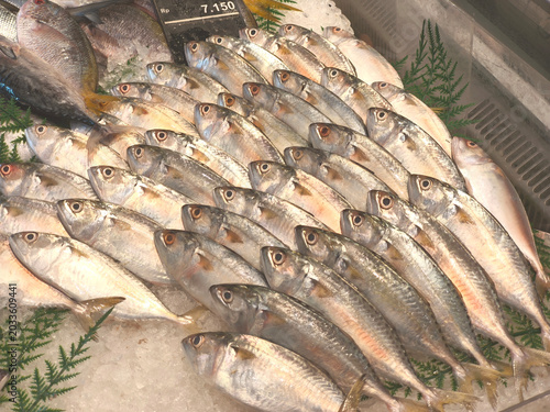 Freshly caught fish on display with greenery at a market or store with a price tag visible.
