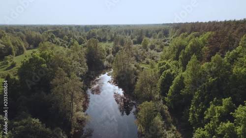 Aerial survey of forest by the river, flooded forest, forest at sunset