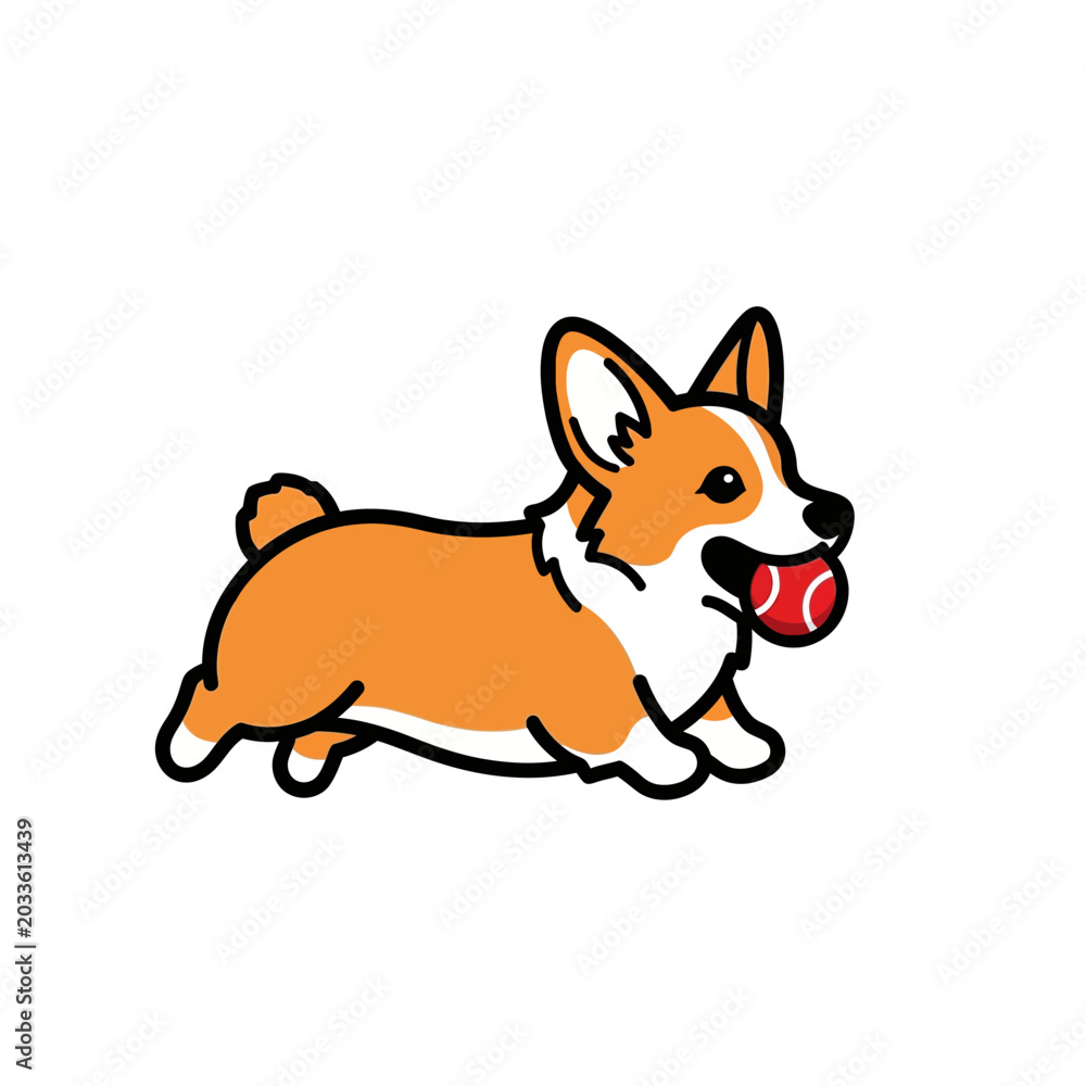 Fototapeta premium Playful corgi dog fetching a red ball in its mouth
