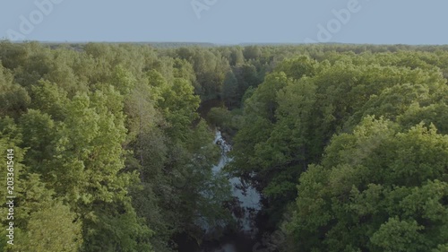 Aerial survey of forest by the river, flooded forest, forest at sunset