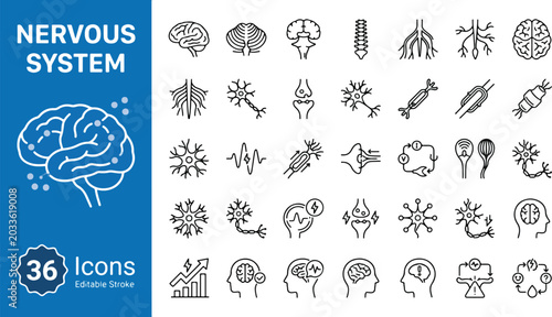 Obraz na płótnie Nervous system and neurology web icons in line style