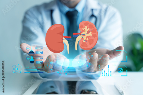 Fotografi Doctor Presenting Digital Kidney Hologram for Renal Healthcare