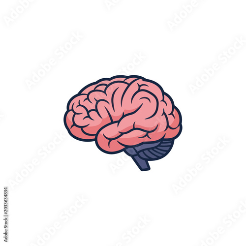 Human Brain Illustration Closeup View.