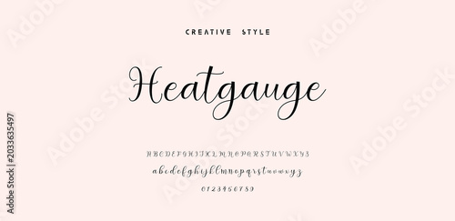 Heatgauge Script Font Typography Example with Uppercase and Lowercase Letters