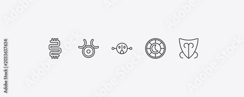 Fotografia zodiac outline icon set