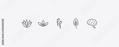 Slika na platnu nature outline icon set