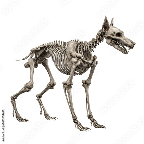 Terrifying Zombie Dog Skeleton for Halloween Decoration