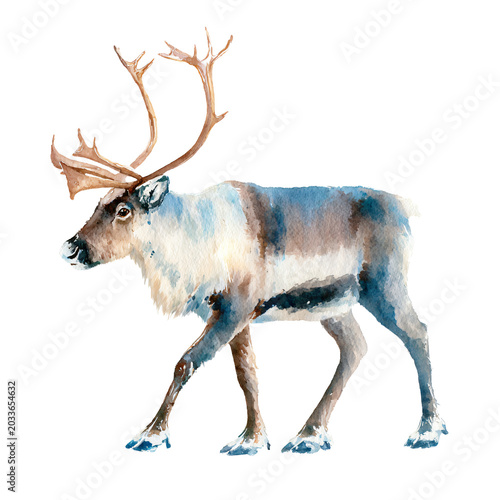 Watercolor Reindeer on Transparent Background - Isolated on White