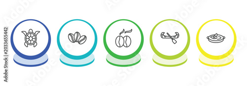 Photography culture outline icon set