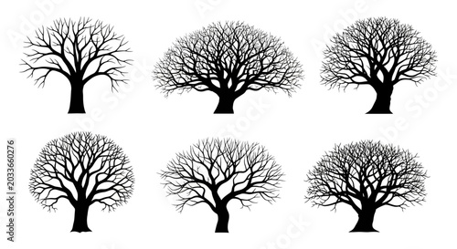 collection of six bare tree silhouettes on a white background