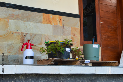 Low angle left side photograph displaying Golden Globes Loosestrife repotting scene with nordic reservoir planter, gardening tools, and hanging plant against a terrace wall.