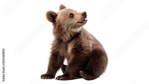 Φωτογραφία Cute small furry brown grizzly bear cub sitting and looking curiously for forest