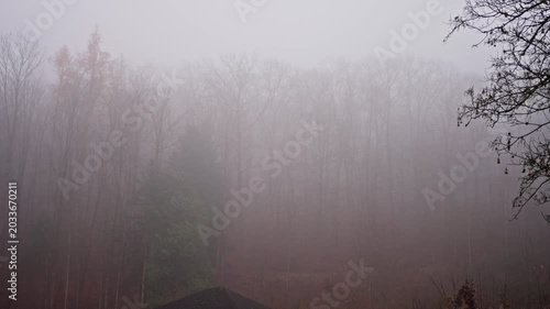 03 October 2025 Germany Munich. Misty Forest With Red Cabin, Secluded Weathered Hut At Clearing Edge, Tall Birch Trunks Fading Into Dense Fog, Damp Grass And Moss, Silent Overcast Morning,